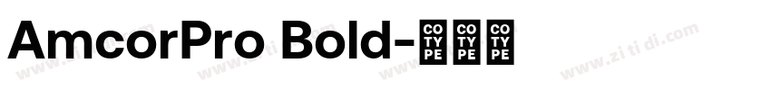 AmcorPro Bold字体转换